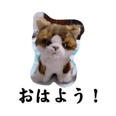 [LINEスタンプ] ねこ 短歌 ららら