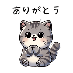 [LINEスタンプ] エキゾチックショートヘアのごあいさつニャ