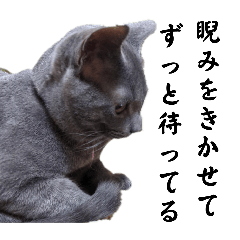 [LINEスタンプ] 猫スタンプtoo heavy cat