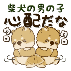 [LINEスタンプ] 柴犬の男の子 『男の子っぽい言葉』