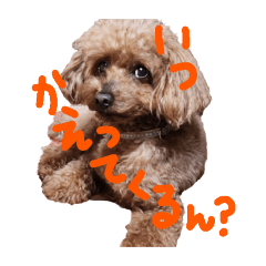 [LINEスタンプ] ウチのコ☆