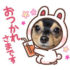 [LINEスタンプ] 【はるちと楽しい日常スタンプ】