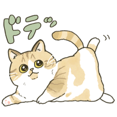 [LINEスタンプ] なんて素晴らしい猫のいる生活