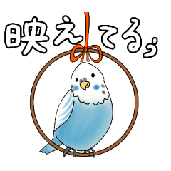 [LINEスタンプ] いきものたち鳥編